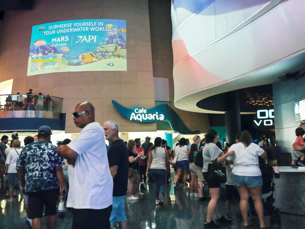 水族館　エントランス