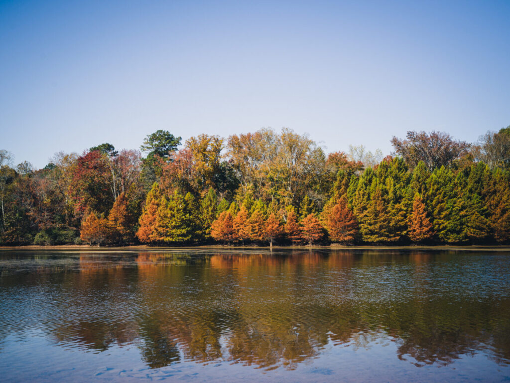 湖と紅葉