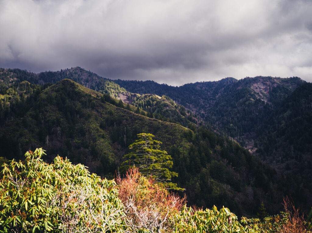 向かいの山