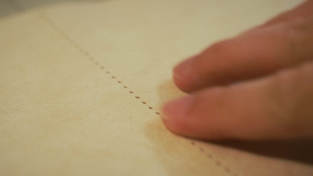 綺麗な菱目ライン
